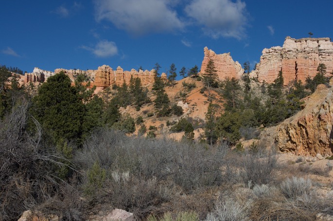 Bryce Canyon National Park Utah, USA3