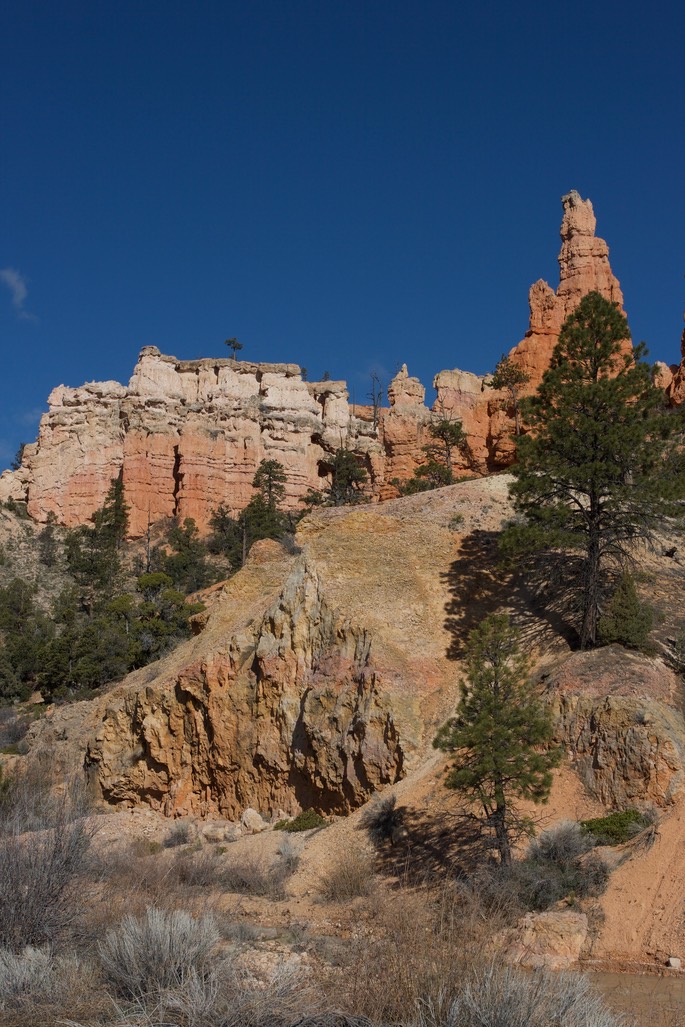 Bryce Canyon National Park Utah, USA4