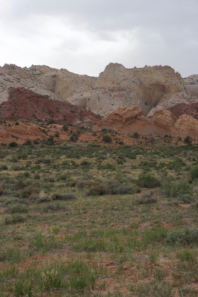 Capitol Reef National Park2