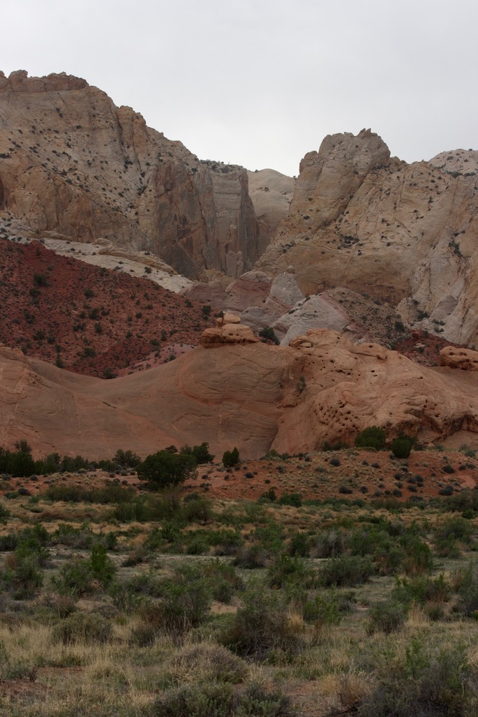 Capitol Reef National Park4