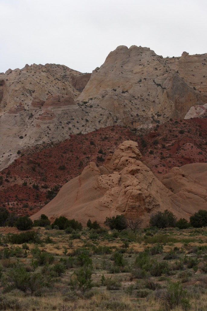 Capitol Reef National Park5