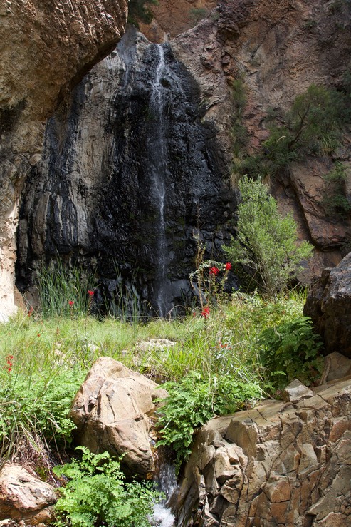 Cattail Falls