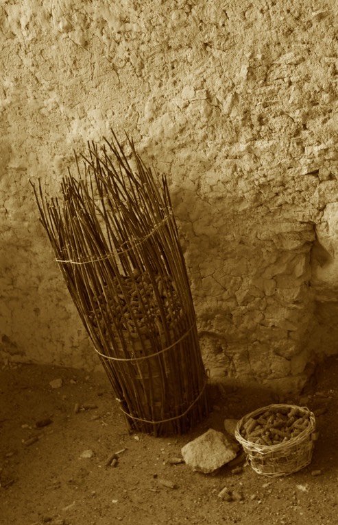 Gila Cliff Dwelling Corn Cobs