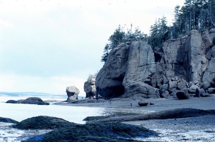 Hopewell Rocks617