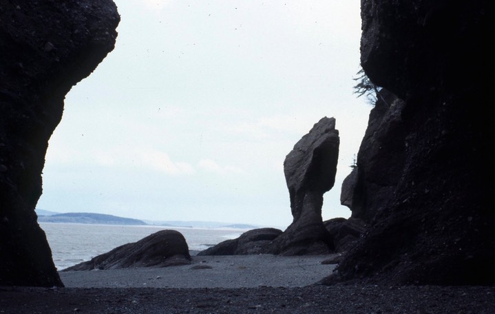 Hopewell Rocks628