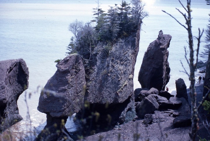 Hopewell Rocks635