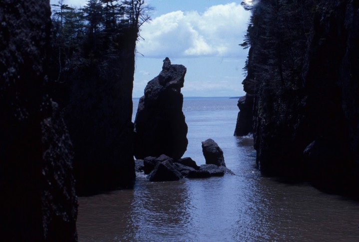 Hopewell Rocks637