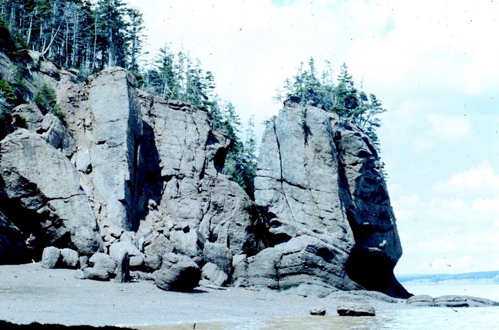 Hopewell Rocks641