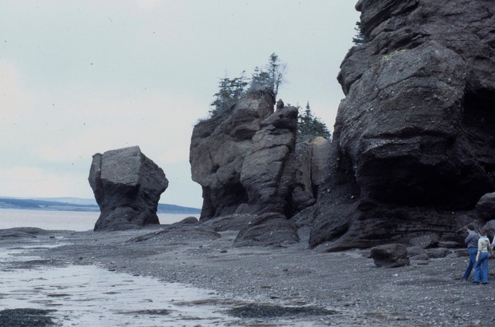 Hopewell Rocks643