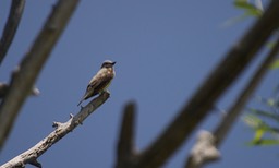 Eastern Oregon