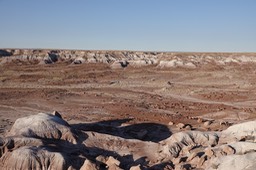 Petrified Forest National Parki