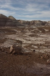 petrified-forest-national_med-35