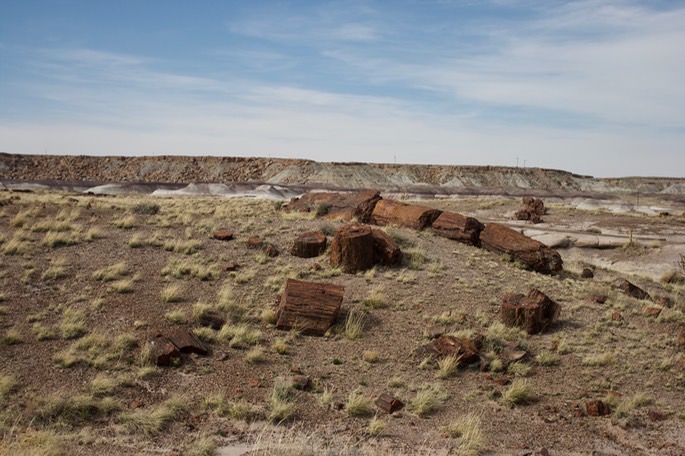 petrified-forest-national_med-17