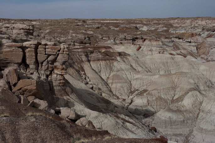 petrified-forest-national_med-8