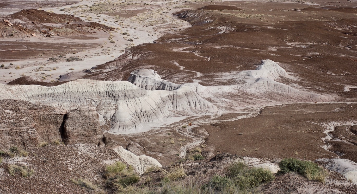 petrified-forest-national_med_hr-18