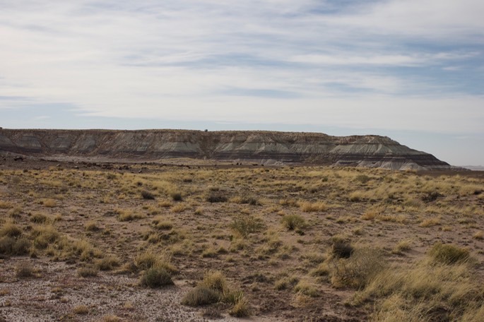 petrified-forest-national_med-11