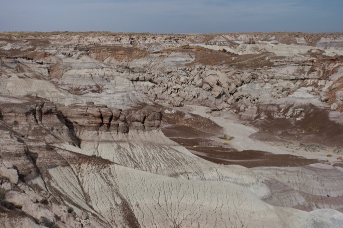 petrified-forest-national_med-12