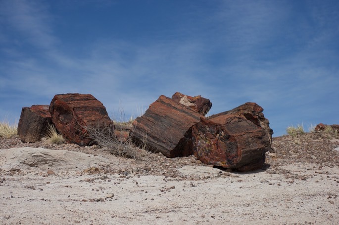 petrified-forest-national_med-25