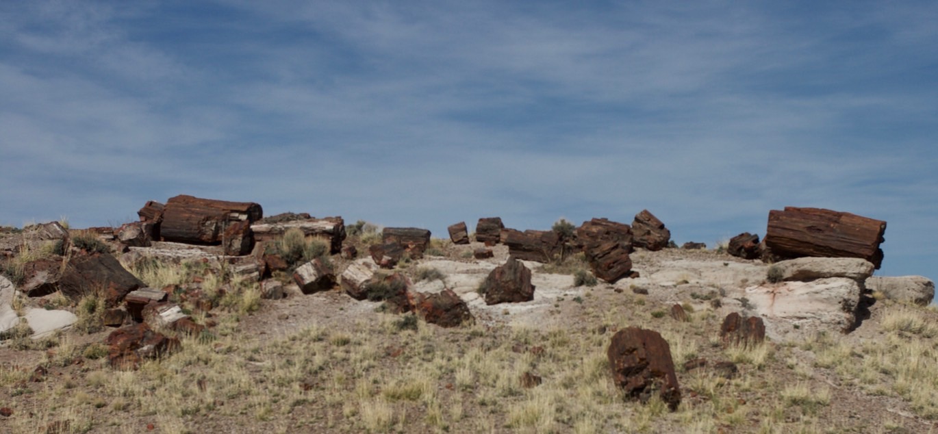 petrified-forest-national_med_hr-7