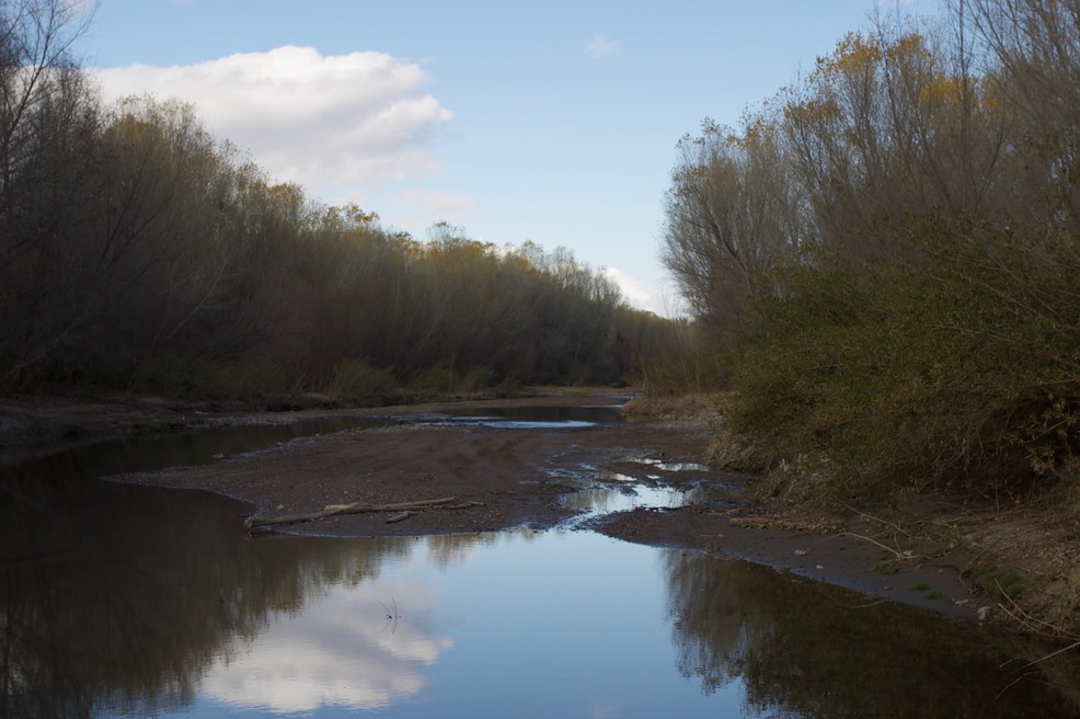 San Pedro River