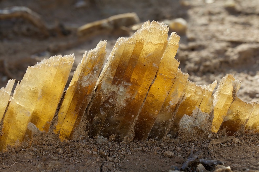 selenite