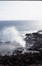 Spouting Horn461