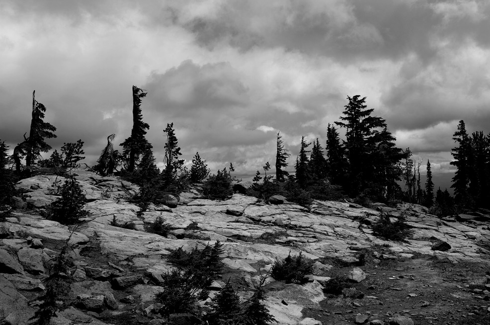 Timberline on Mt- Adams copy