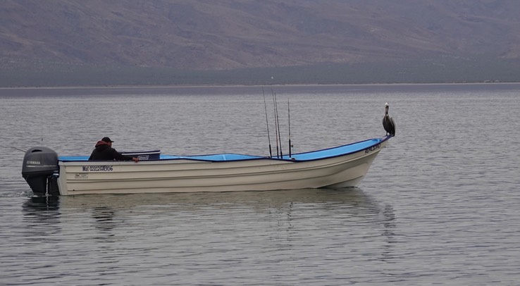 Bahia de los Angeles, Baja California. a1