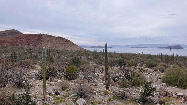 Bahia de los Angeles, Baja California (1)