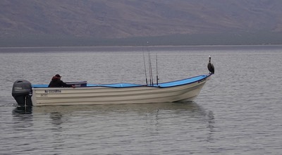 Bahia de los Angeles, Baja California. a1