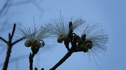 DSC09171