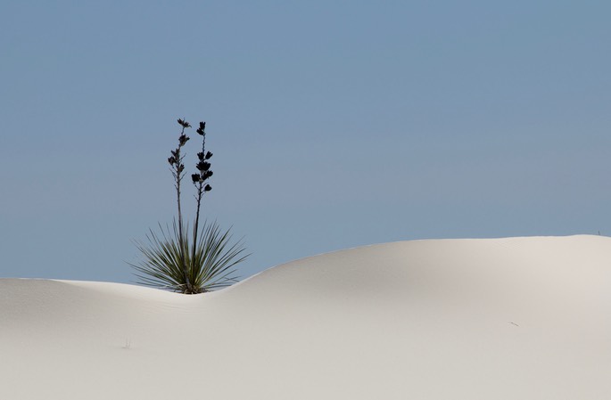 White Sands Nat Monument 1